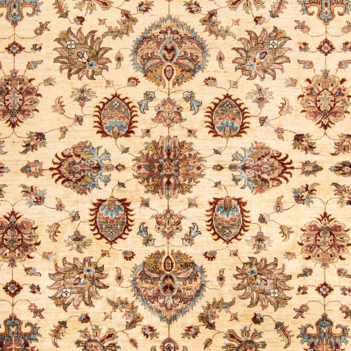 Ziegler Rug - 306 x 254 cm - beige