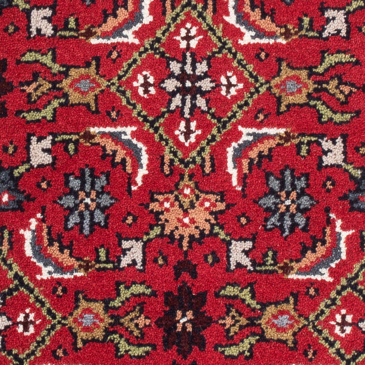 Oriental Rug - Bidjar - Indus - 90 x 60 cm - red