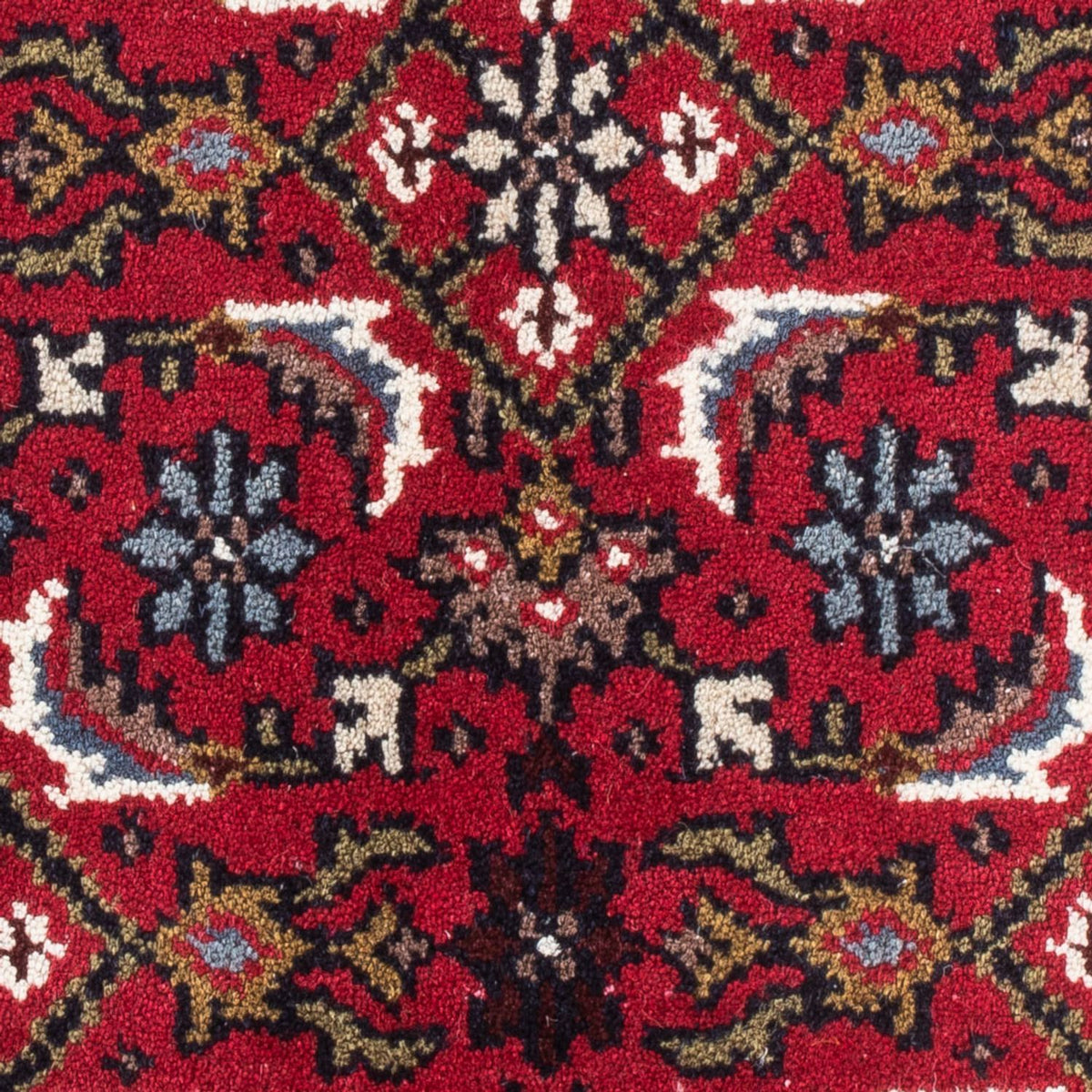 Oriental Rug - Bidjar - Indus - 90 x 60 cm - red