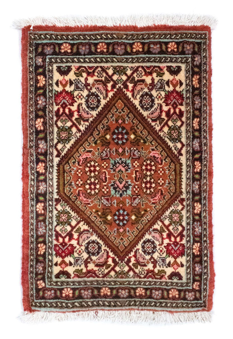 Perser Rug - Bidjar - 60 x 40 cm - multicolored