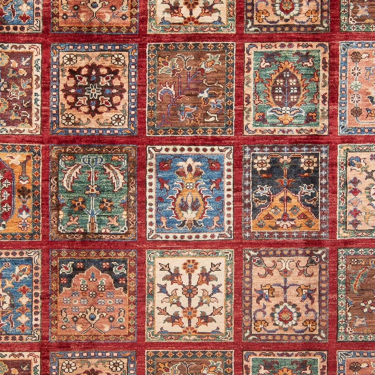 Ziegler Rug - Bakhtiari - 255 x 175 cm - multicolored