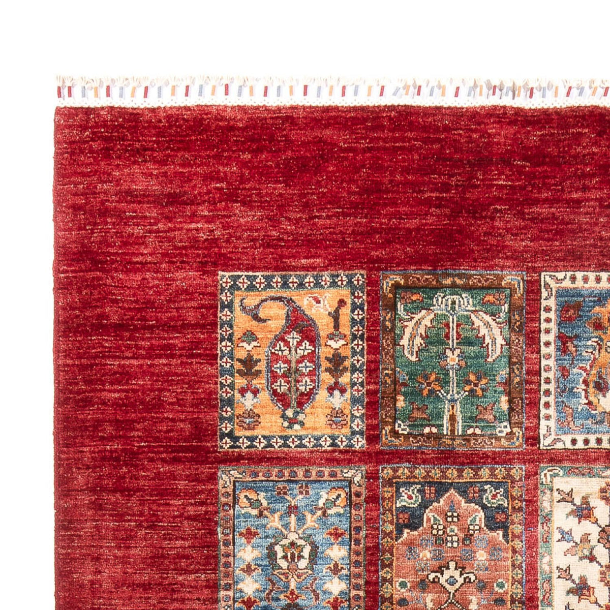 Bakhtiari Rug 175x250cm - Oriental Rug