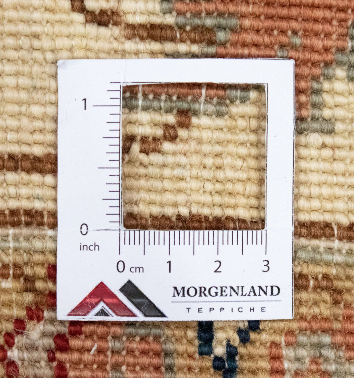 Ziegler Rug - 342 x 252 cm - red