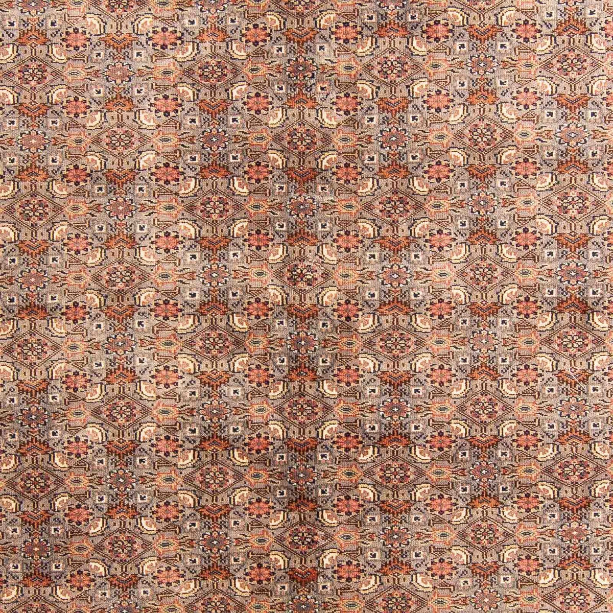 Oriental Rug - Bidjar - Indus - 233 x 181 cm - multicolored