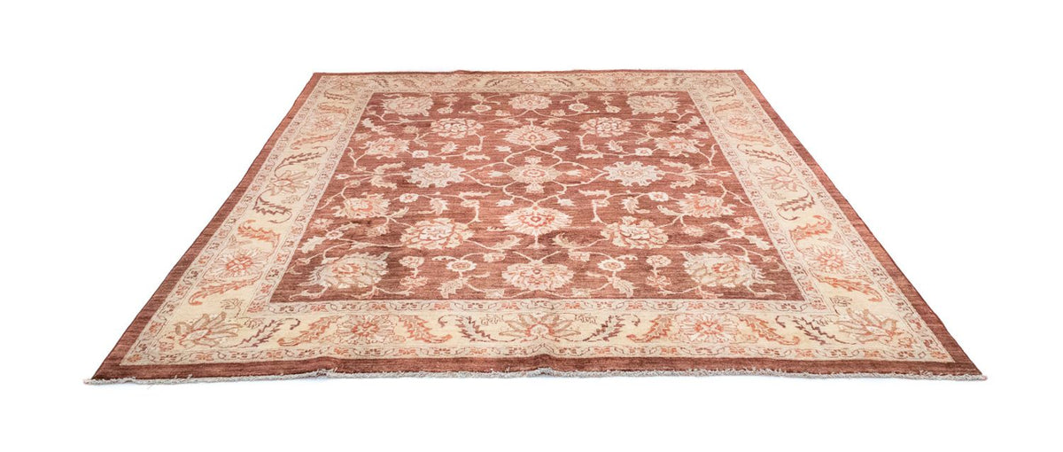 Ziegler Rug - 290 x 249 cm - brown
