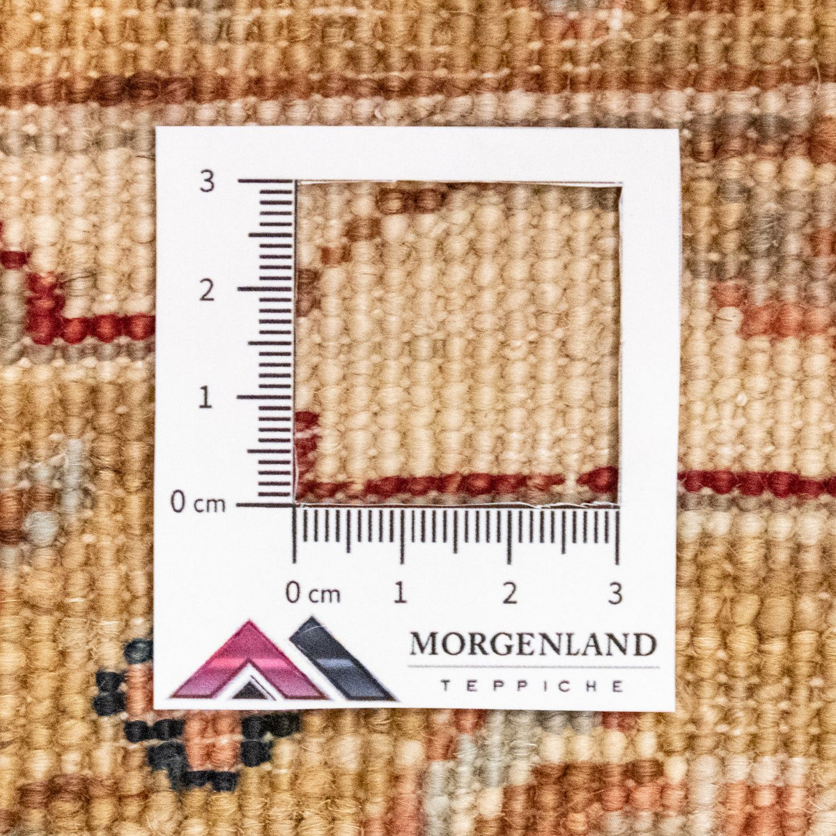 Ziegler Rug - 238 x 172 cm - red