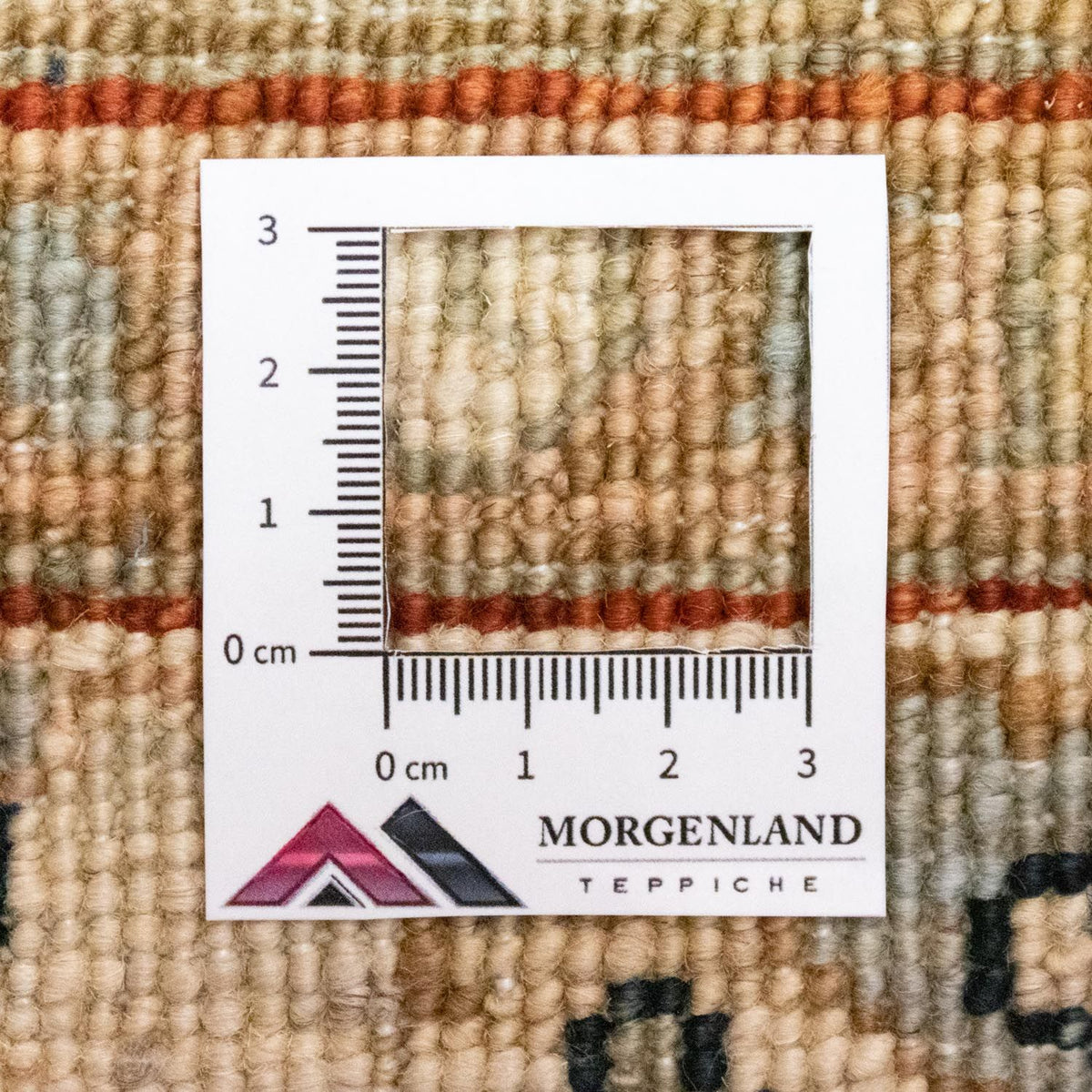 Ziegler Rug - 258 x 173 cm - blue