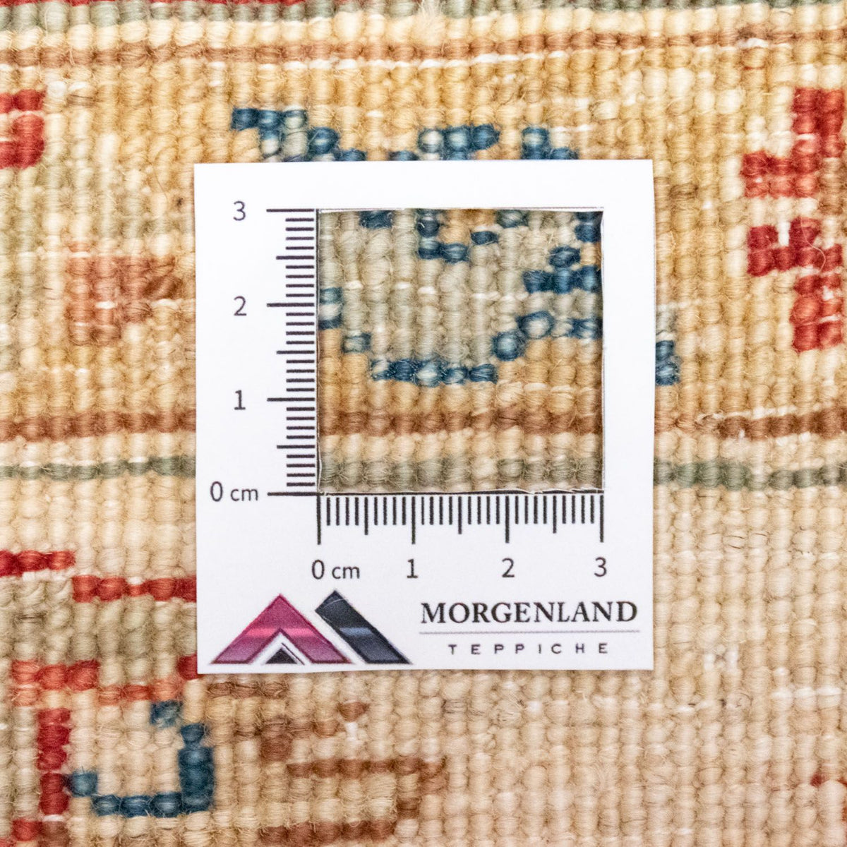 Ziegler Rug - 246 x 170 cm - orange