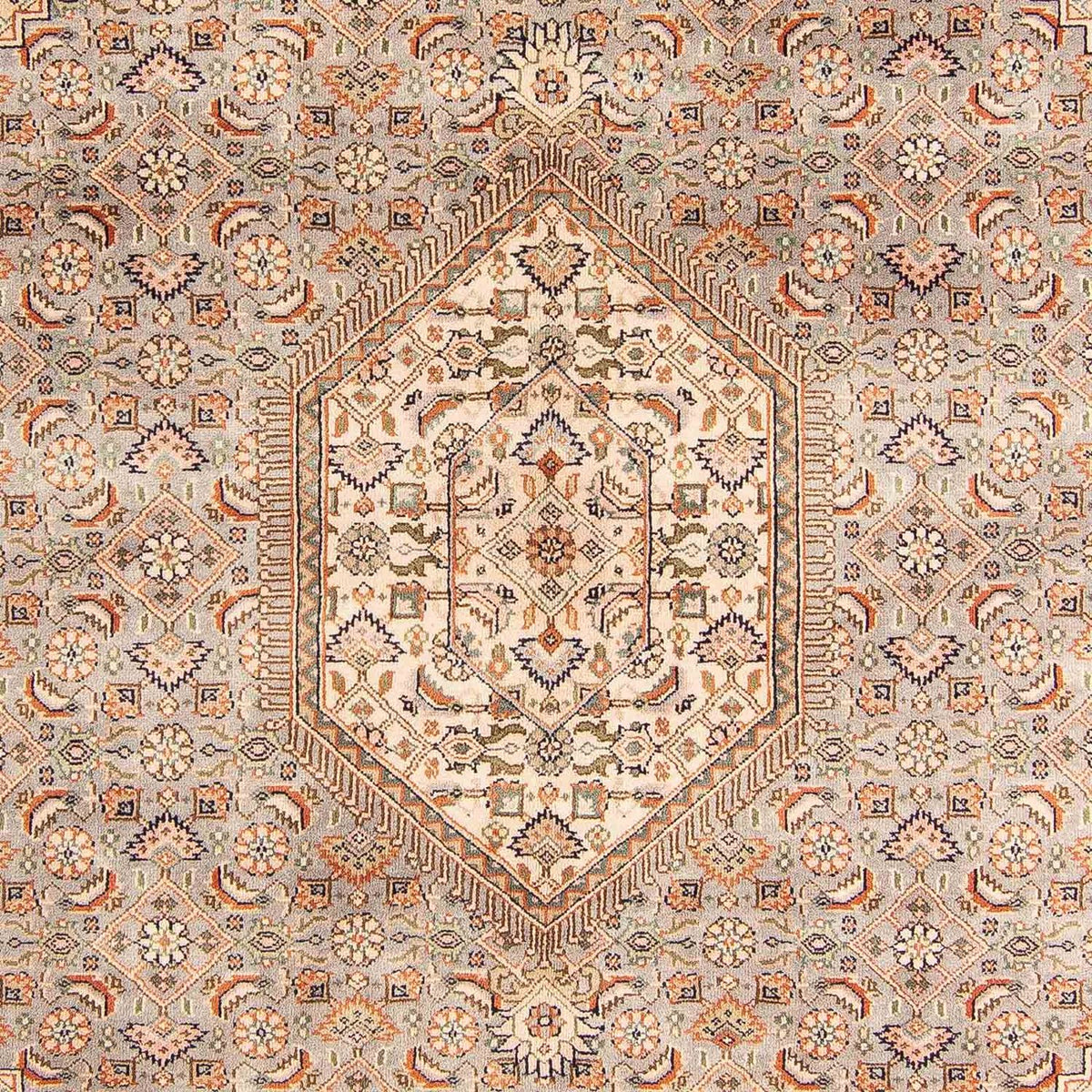 Oriental Rug - Bidjar - Indus - 242 x 169 cm - light brown