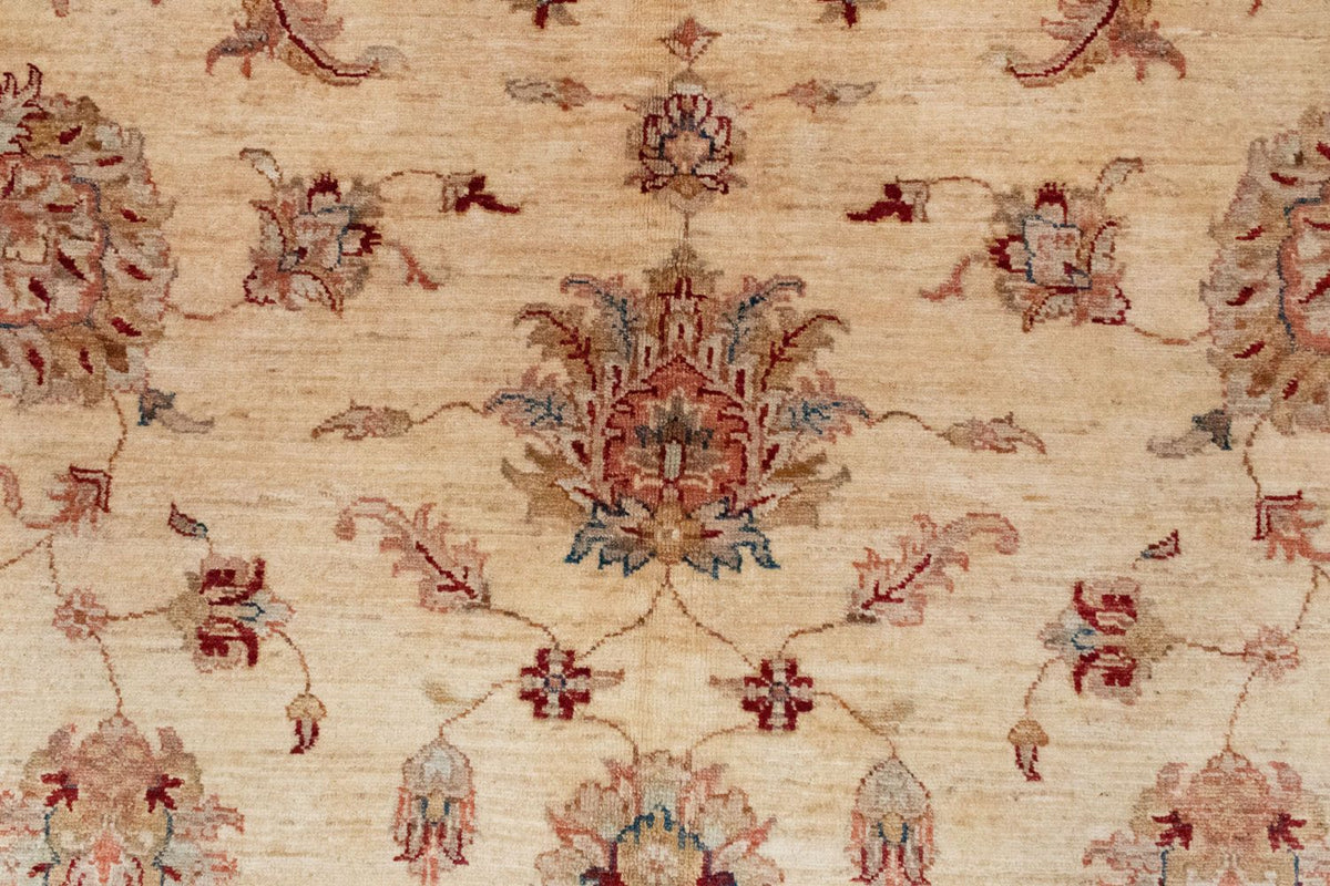 Ziegler Rug - 391 x 302 cm - beige