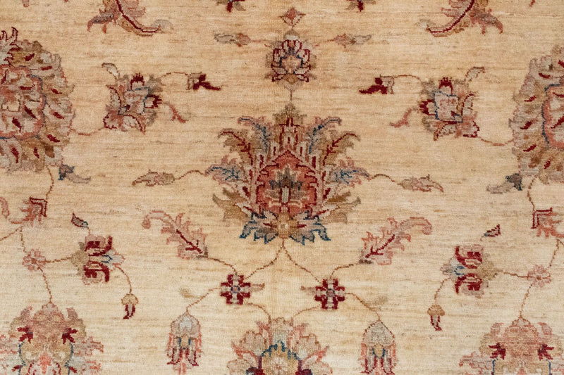 Ziegler Rug - 391 x 302 cm - beige