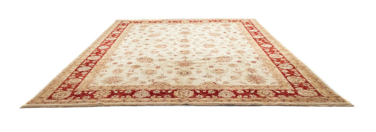 Ziegler Rug - 391 x 302 cm - beige