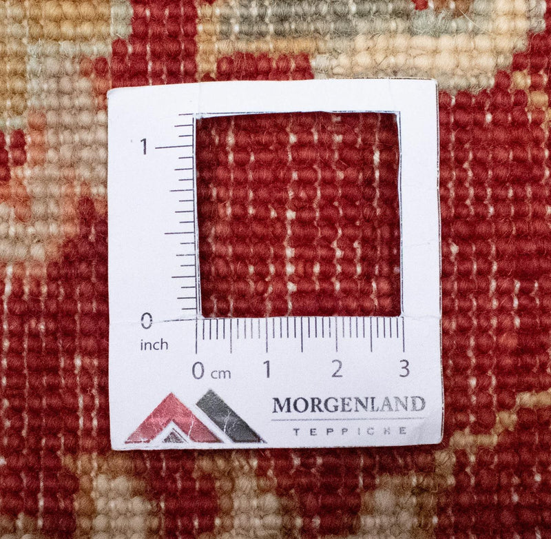 Ziegler Rug - 391 x 302 cm - beige