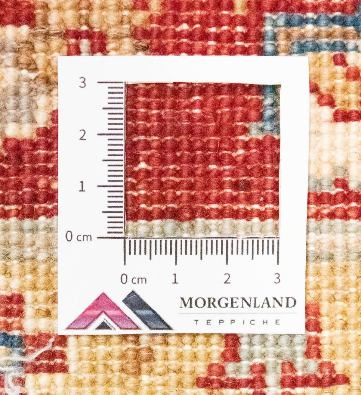 Ziegler Rug - 215 x 160 cm - beige