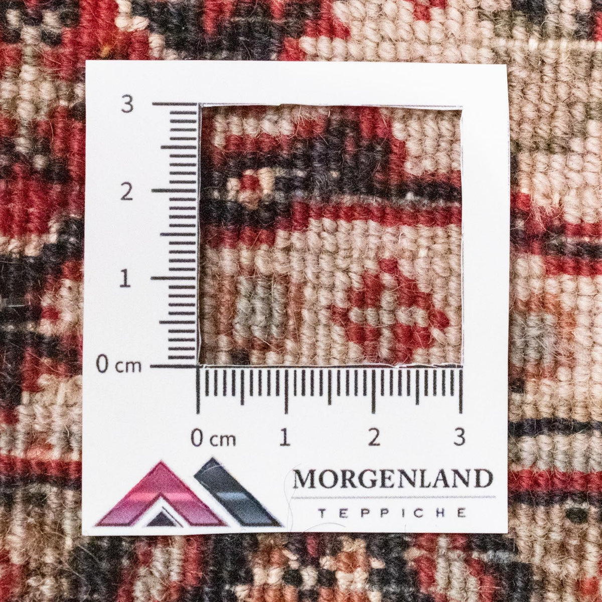 Perser Rug - Bidjar - 163 x 92 cm - red