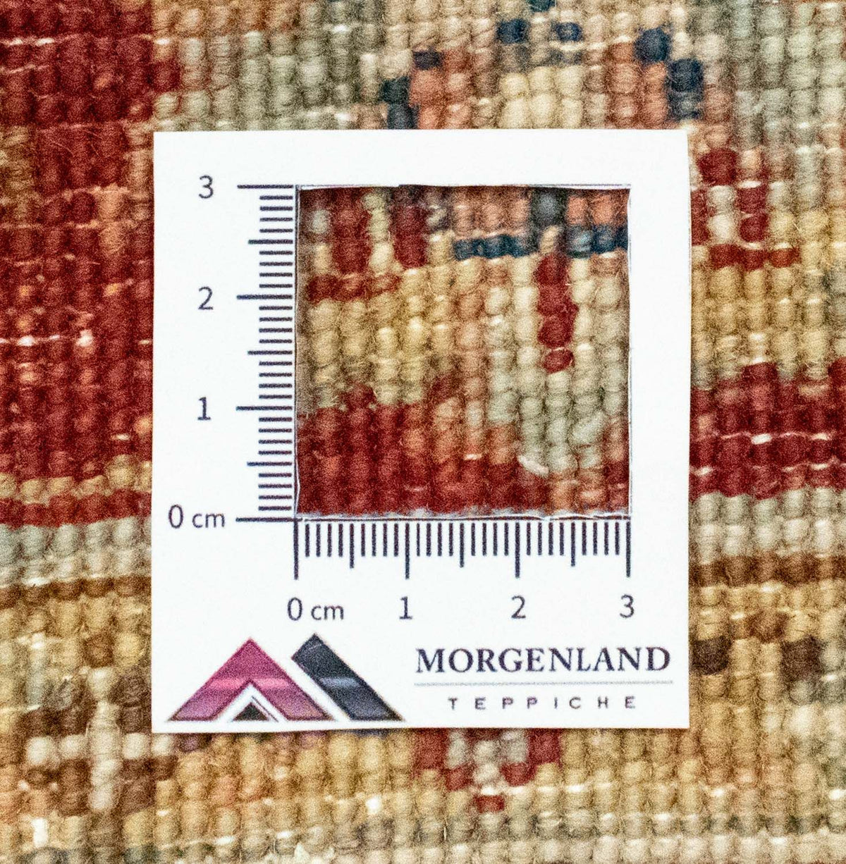 Ziegler Rug - 161 x 101 cm - beige