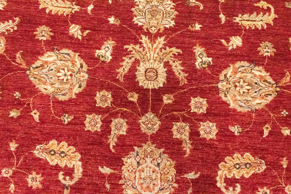 Ziegler Rug - 296 x 210 cm - red