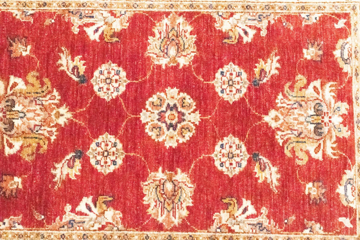 Ziegler Rug - 117 x 82 cm - orange