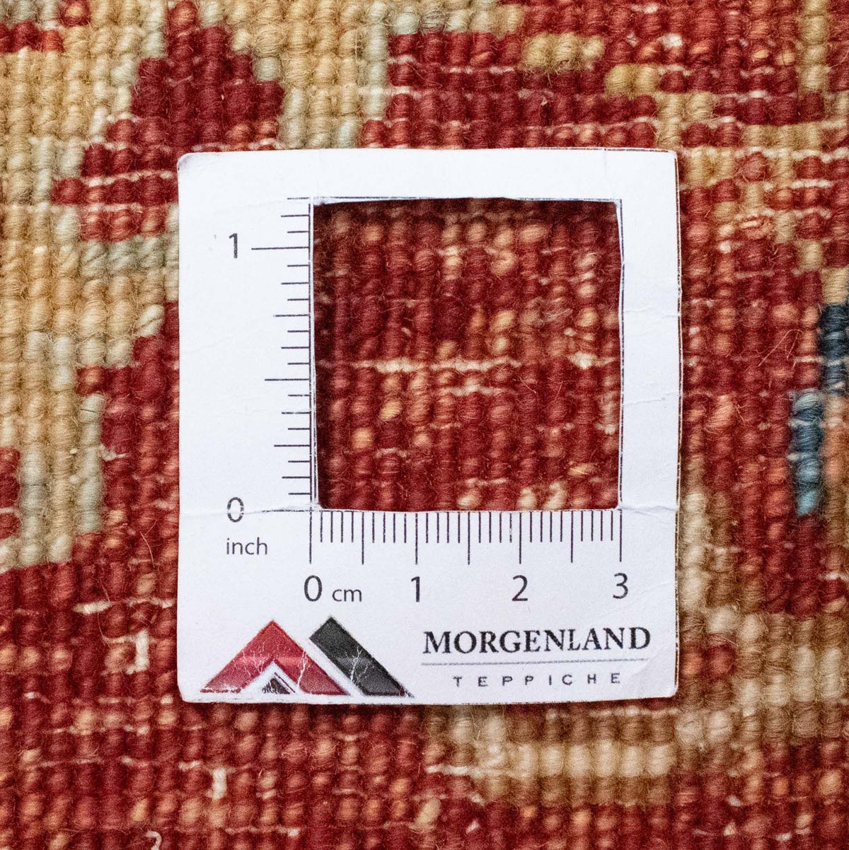 Ziegler Rug - 292 x 208 cm - beige