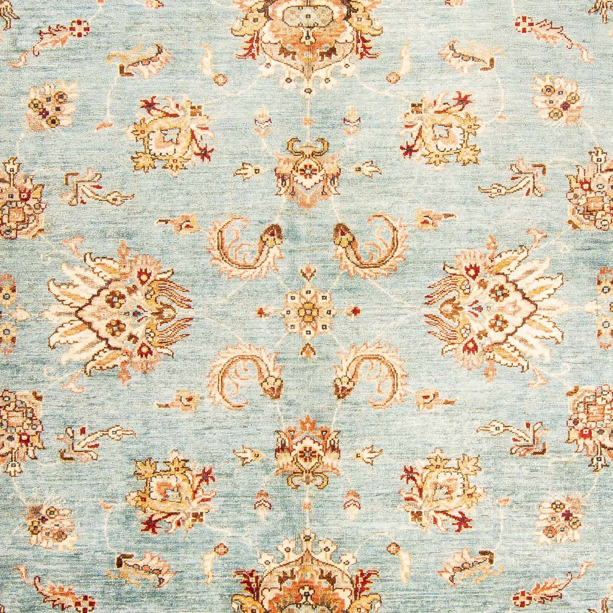 Ziegler Rug - 301 x 208 cm - light blue