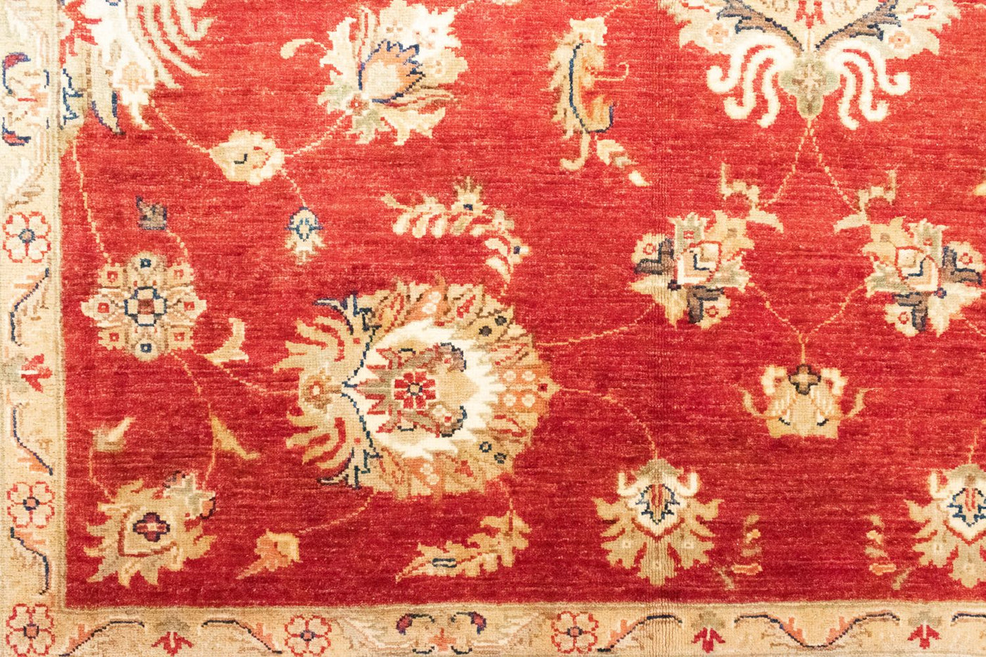 Ziegler Rug - 296 x 206 cm - orange