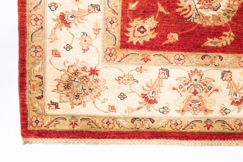 Ziegler Rug - 296 x 206 cm - orange