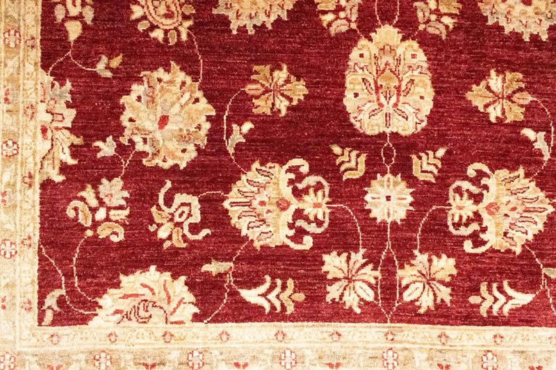 Ziegler Rug - 288 x 203 cm - red