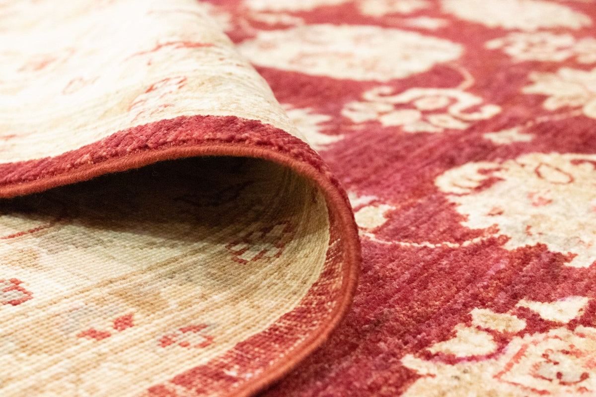 Ziegler Rug - 288 x 203 cm - red