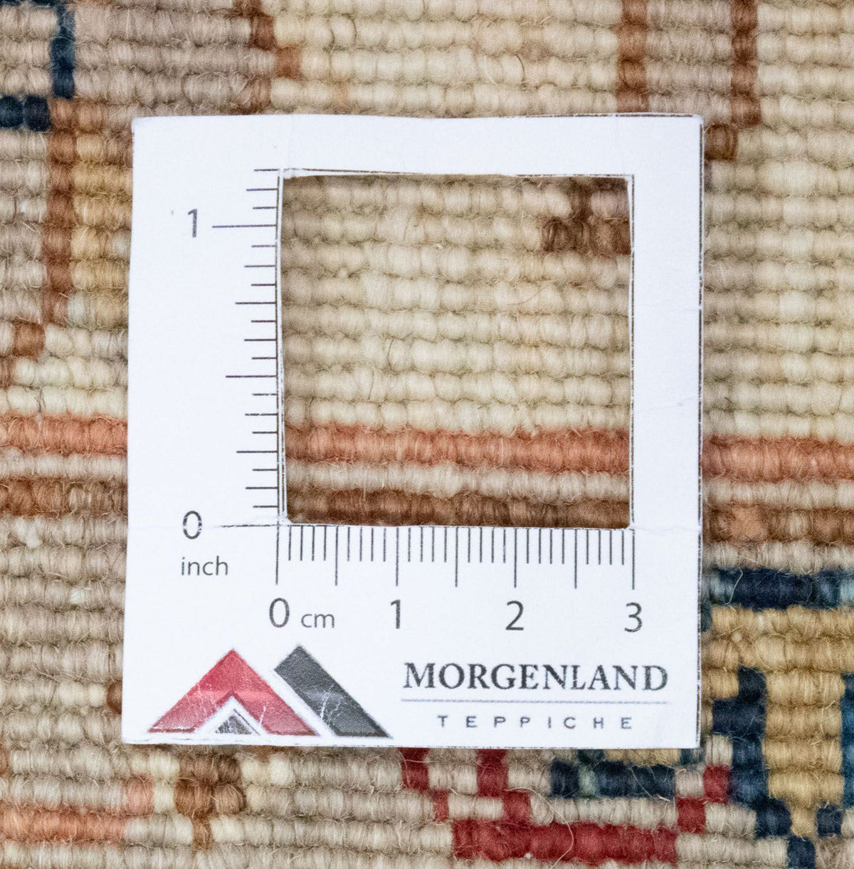 Ziegler Rug - 309 x 248 cm - blue