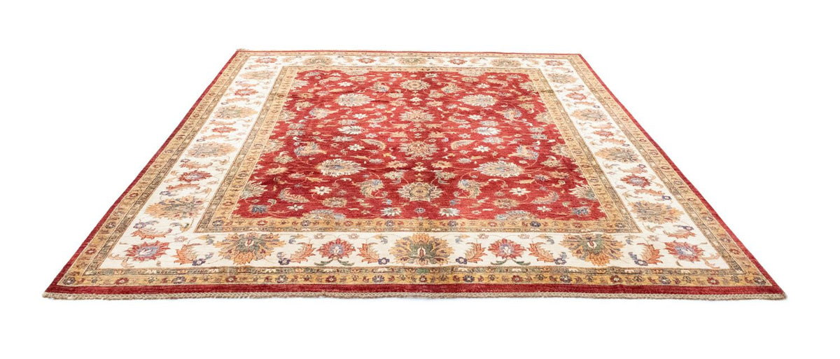 Ziegler Rug - 301 x 253 cm - red