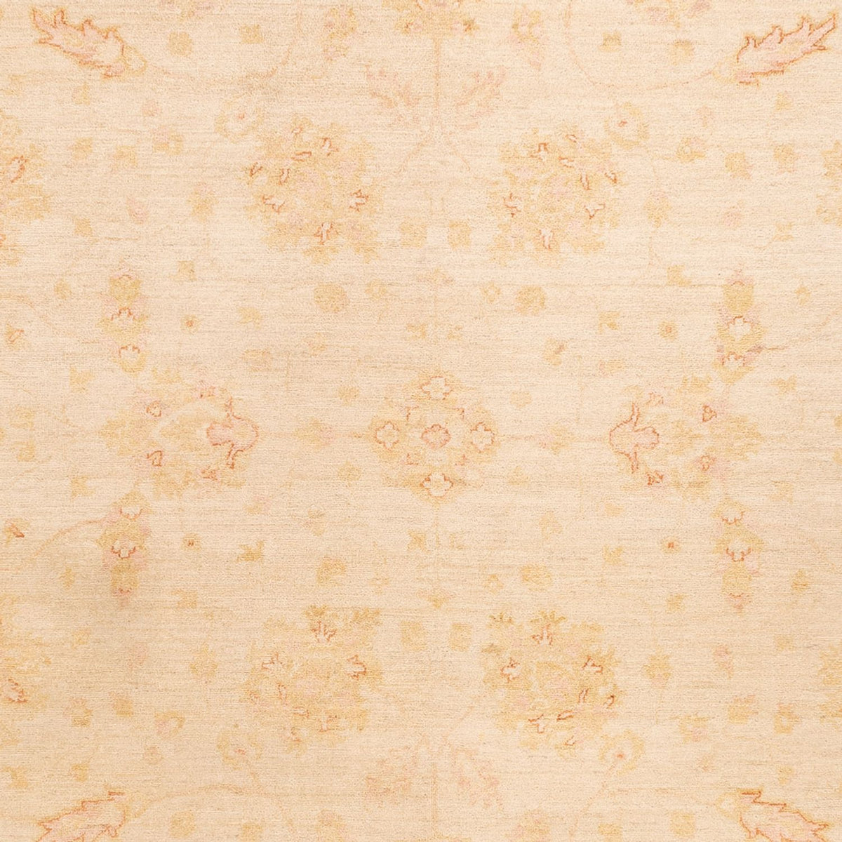 Ziegler Rug - 345 x 257 cm - light beige