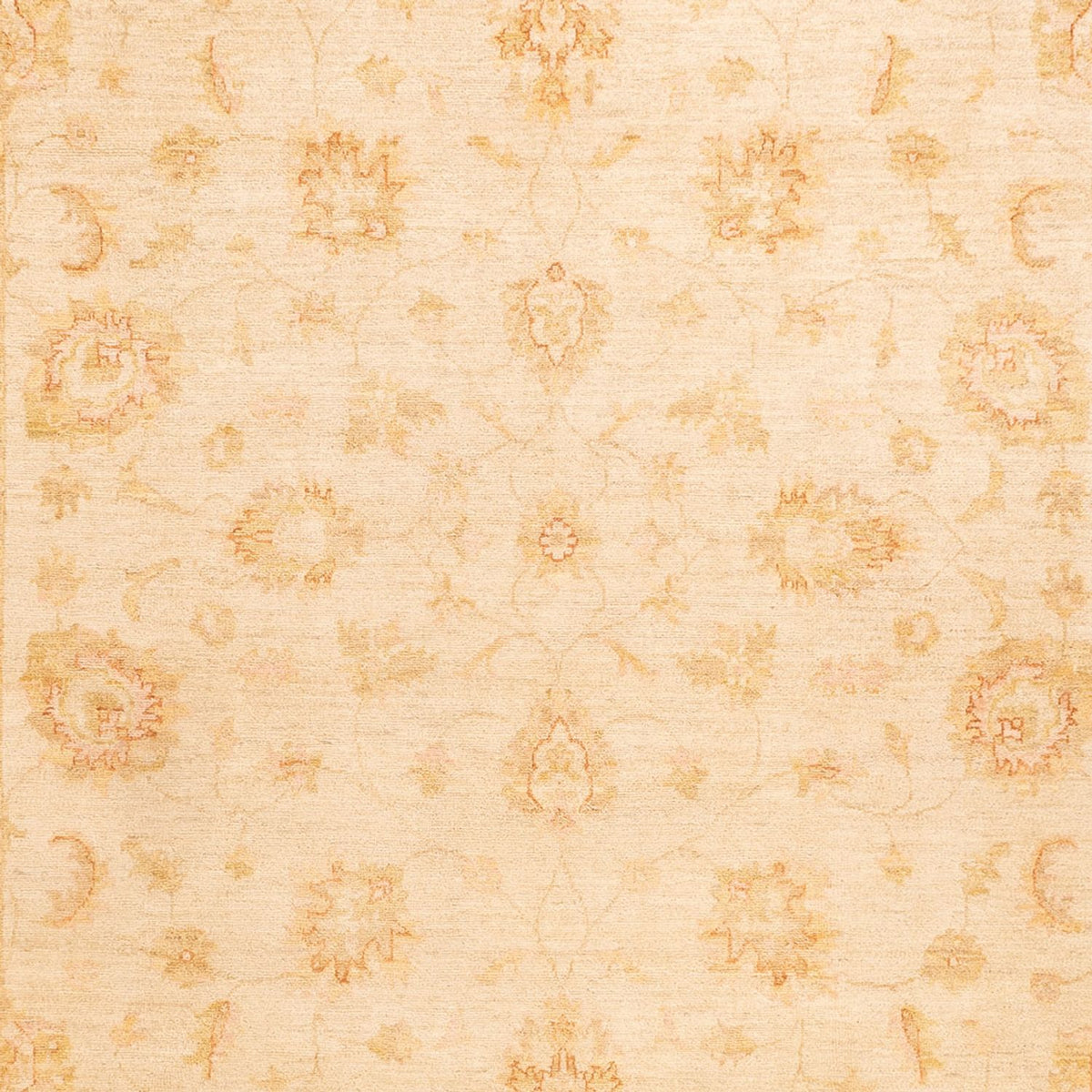 Ziegler Rug - 350 x 253 cm - beige