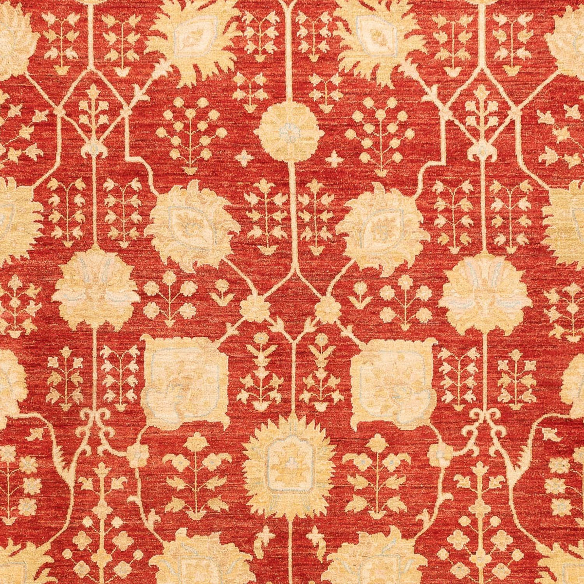 Ziegler Rug - 343 x 254 cm - red