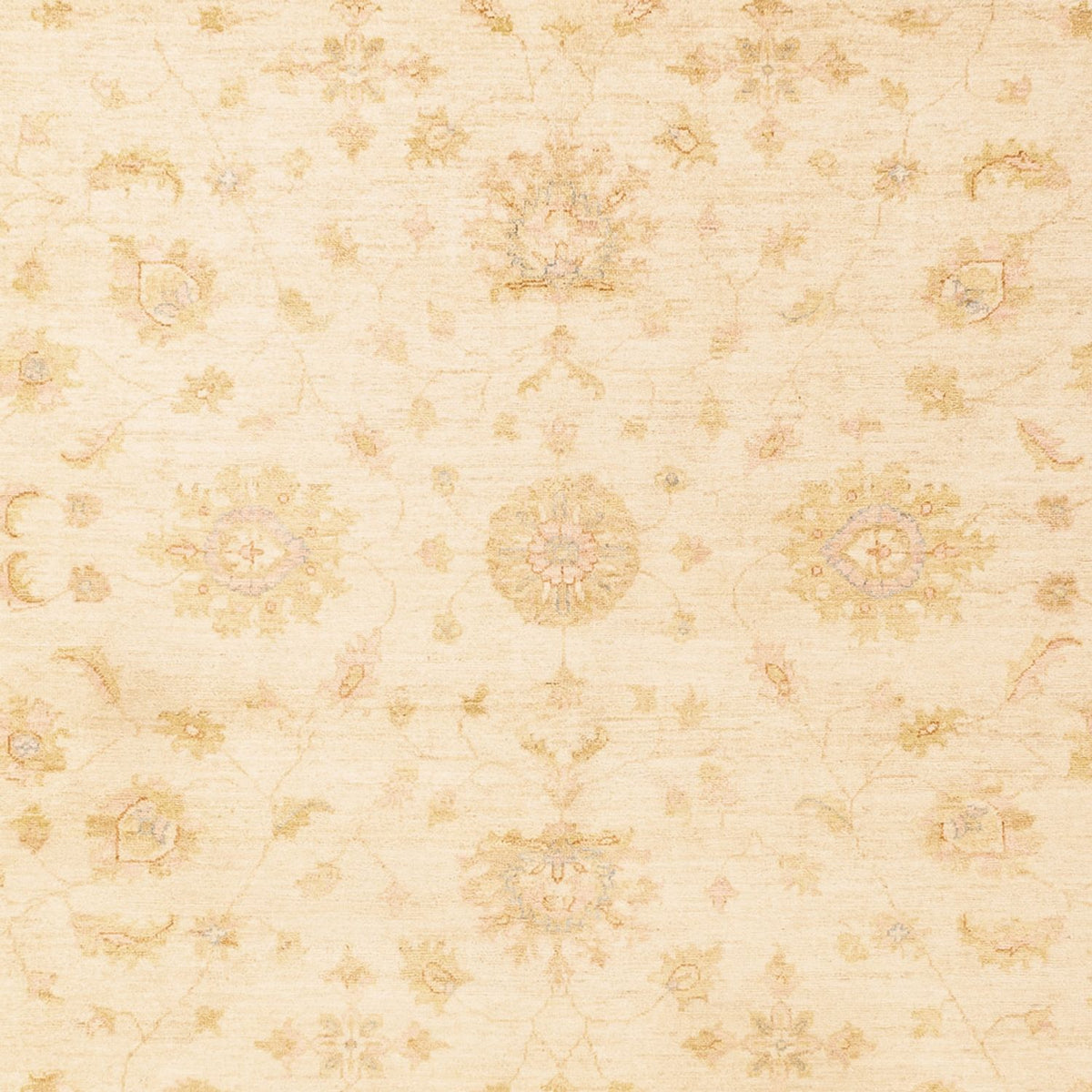 Ziegler Rug - 344 x 254 cm - beige