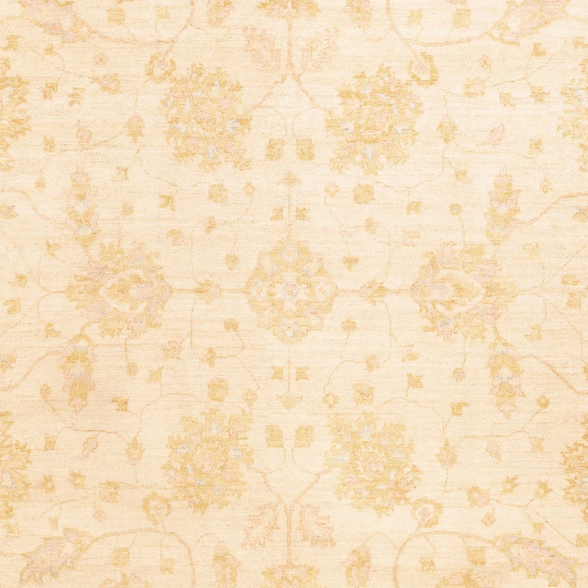 Ziegler Rug - 341 x 258 cm - beige