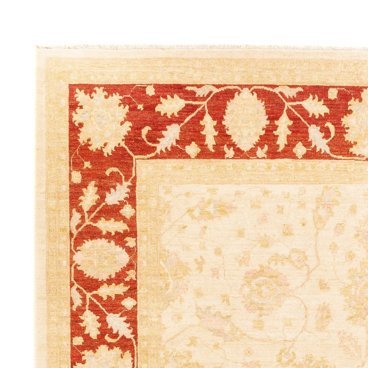 Ziegler Rug - 341 x 258 cm - beige