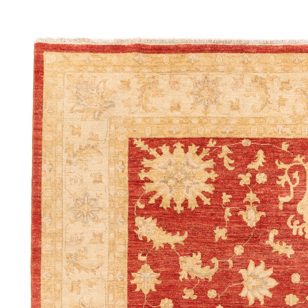 Ziegler Rug - 343 x 254 cm - red