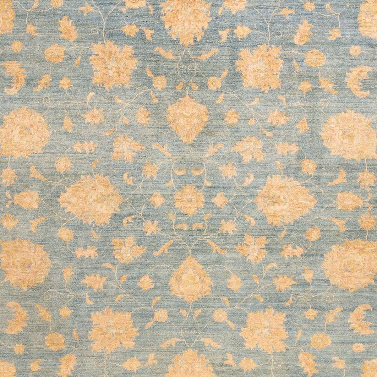 Ziegler Rug - 342 x 255 cm - light blue