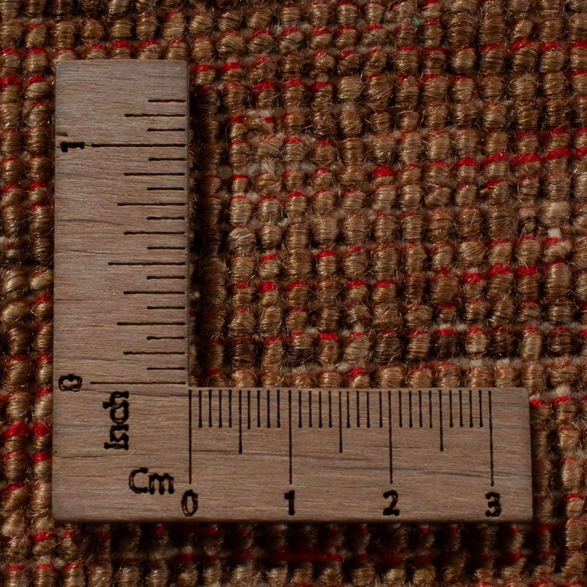 Ziegler Rug - Ariana - 345 x 246 cm - brown