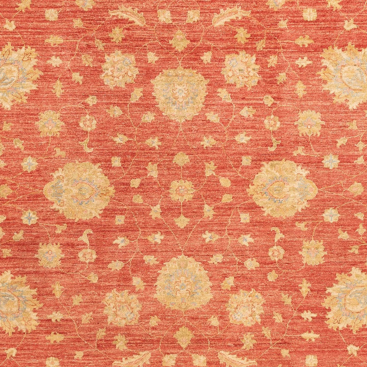 Ziegler Rug - 344 x 257 cm - red