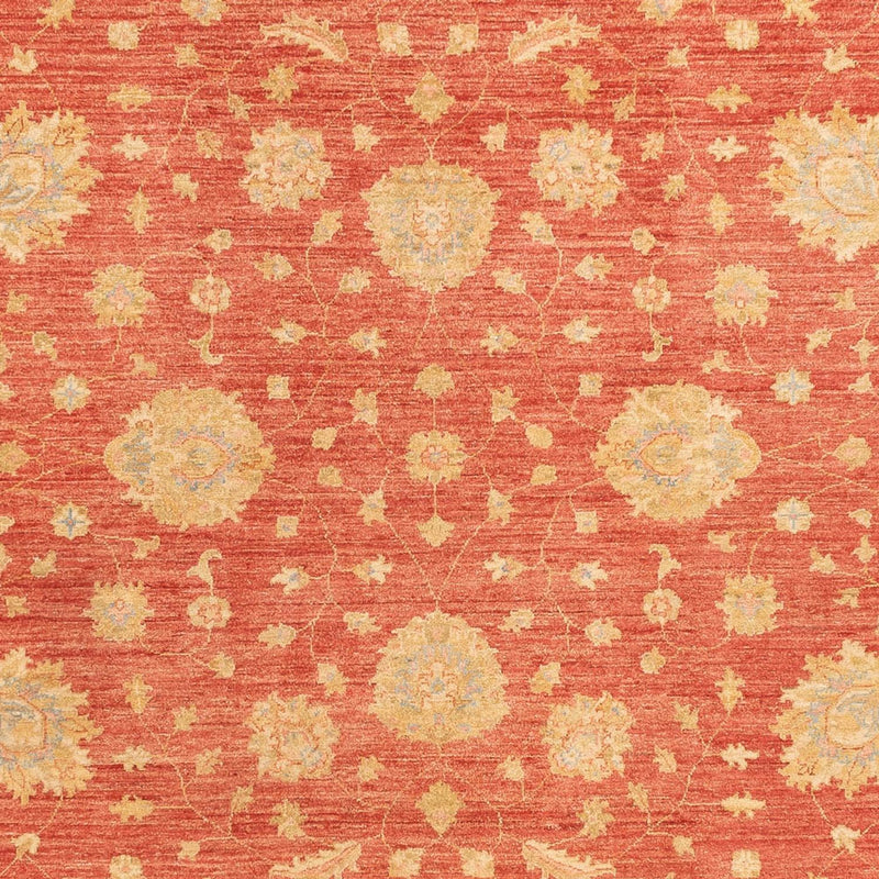 Ziegler Rug - 344 x 257 cm - red