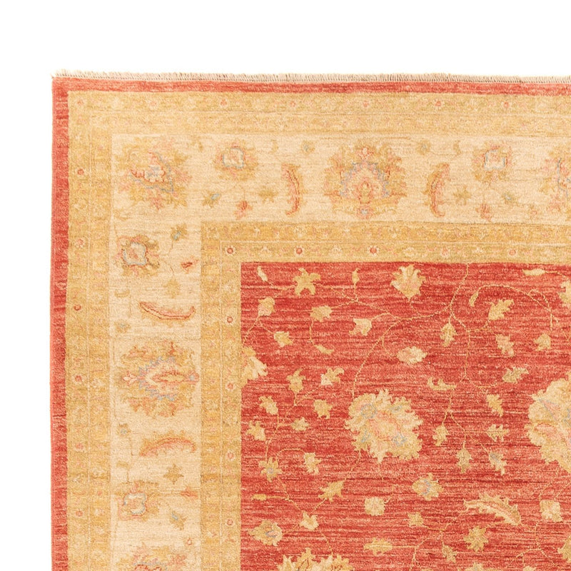 Ziegler Rug - 344 x 257 cm - red