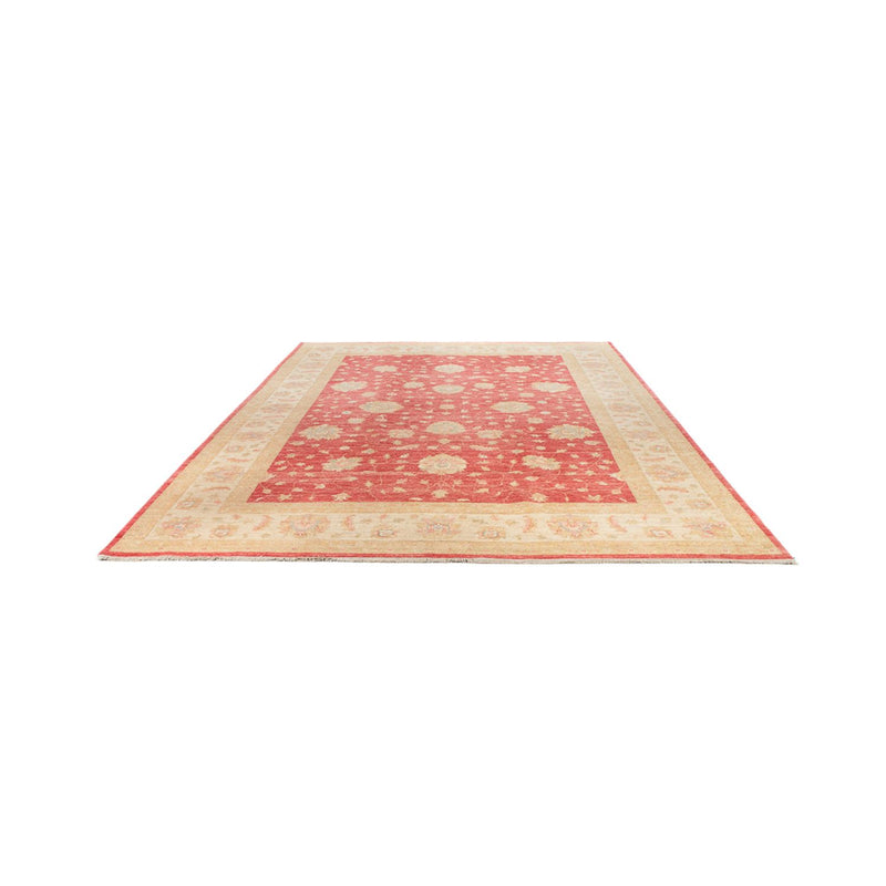 Ziegler Rug - 344 x 257 cm - red