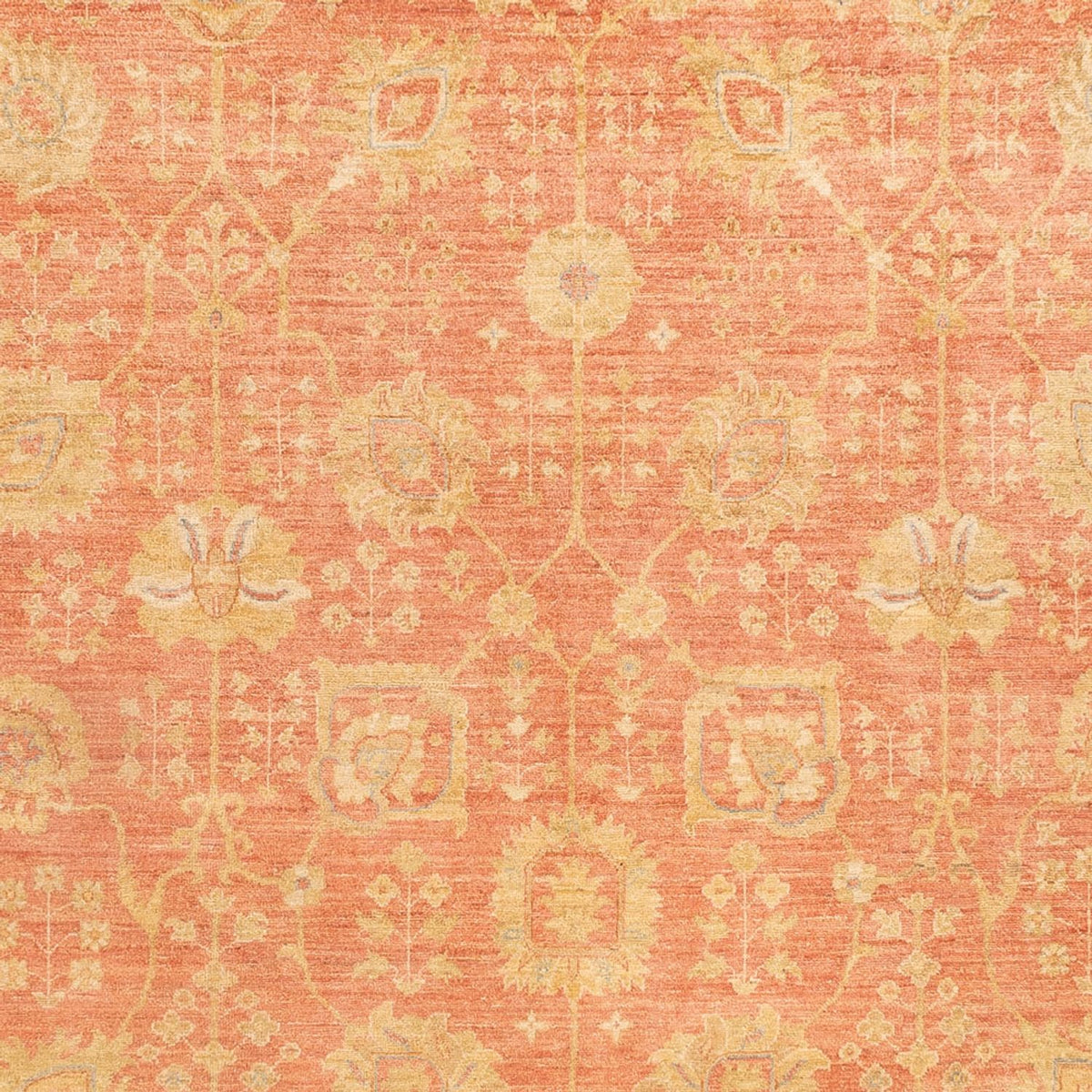 Ziegler Rug - 341 x 251 cm - light red