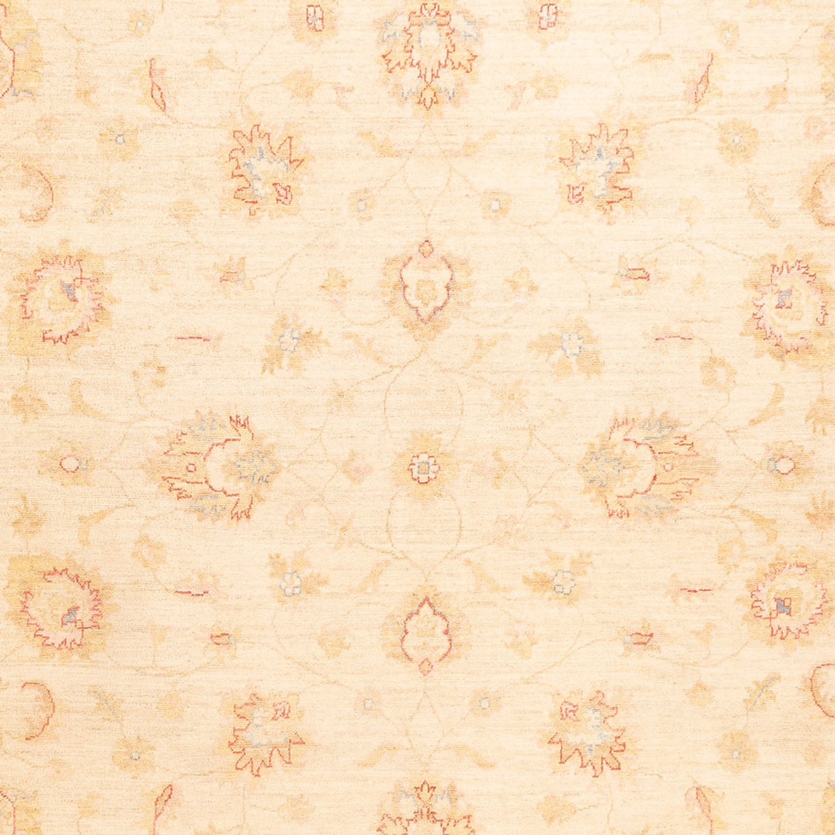 Ziegler Rug - 338 x 251 cm - beige
