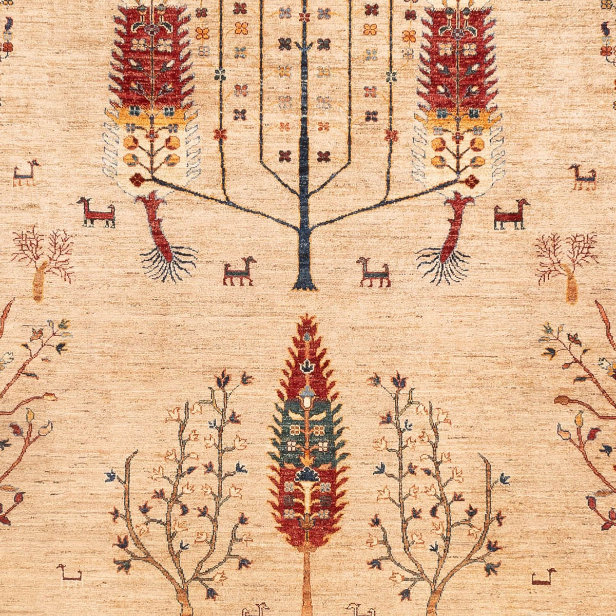 Ziegler Rug - Ariana - 352 x 241 cm - beige