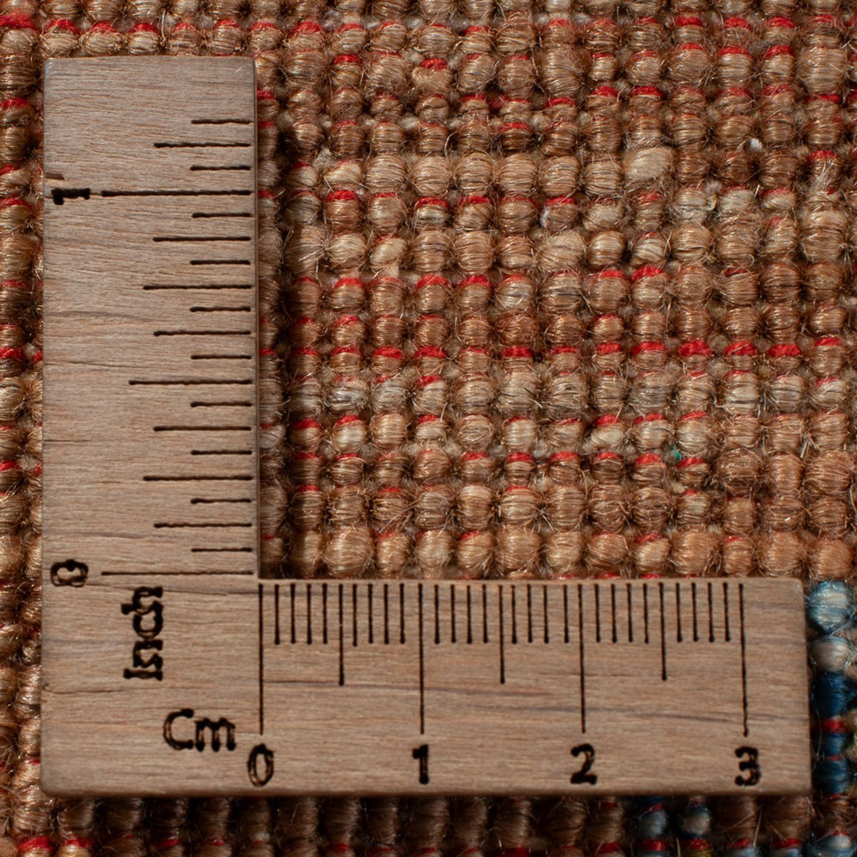 Ziegler Rug - Ariana - 348 x 244 cm - dark beige