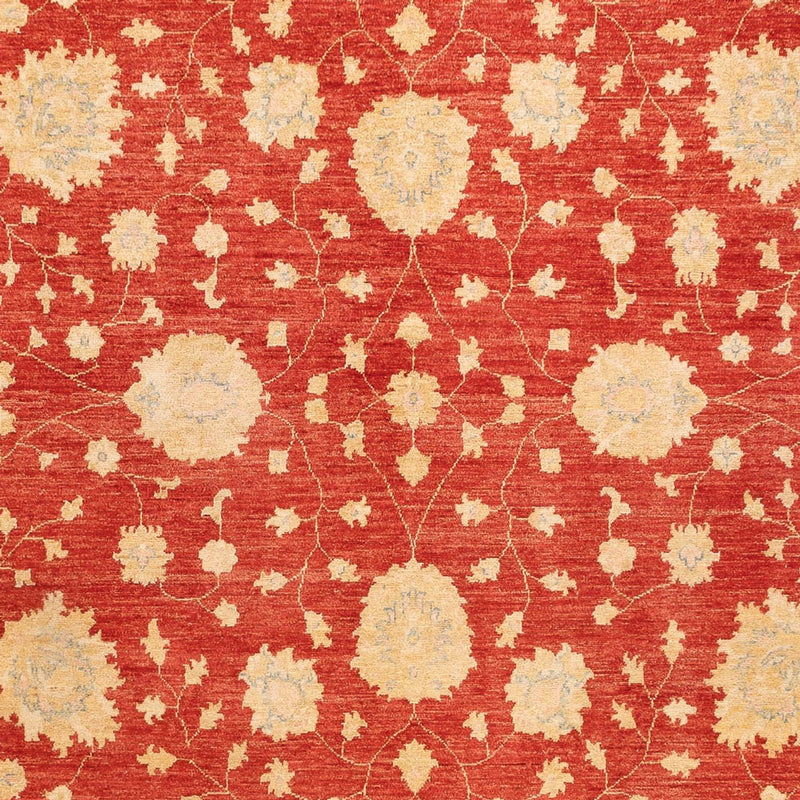 Ziegler Rug - 355 x 254 cm - red