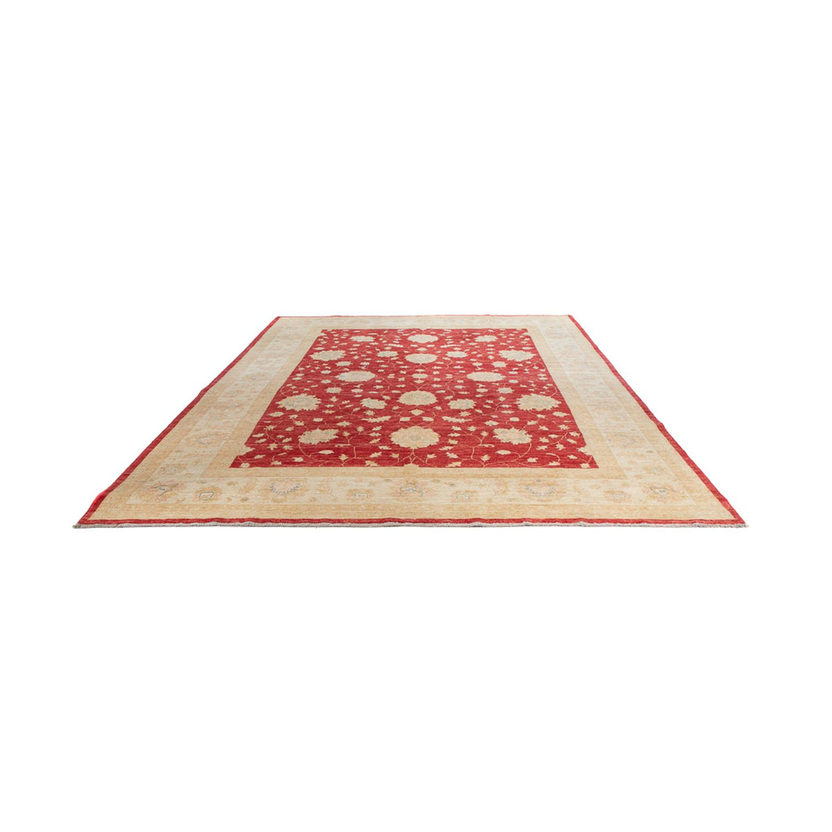 Ziegler Rug - 355 x 254 cm - red