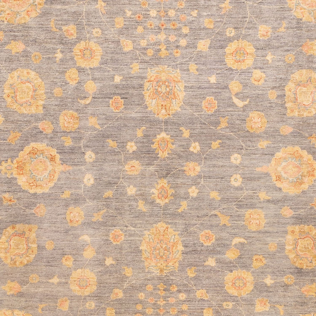 Ziegler Rug - 344 x 255 cm - dark beige